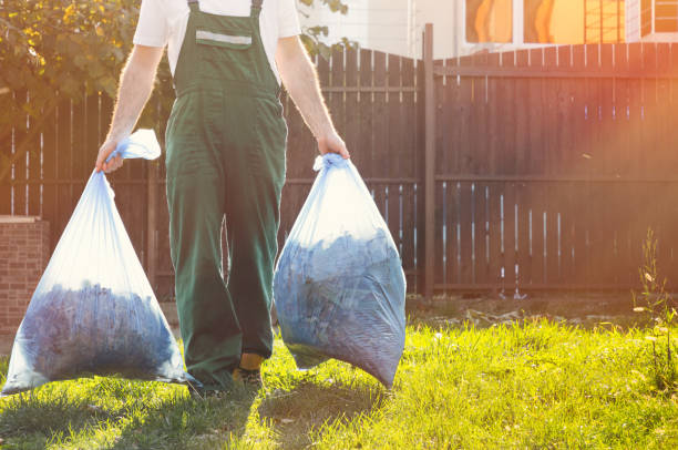 Demolition Debris Removal in Shields, MI